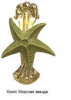klips-morskaya-zvezda