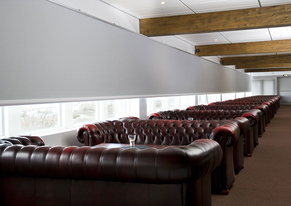 �������� ����� ������� MAXI � ��������������� Sonesse 50 (Somfy)