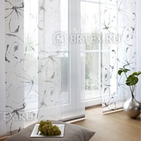 �������� �����